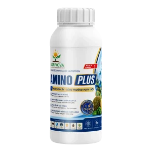 AMINO PLUS 1L