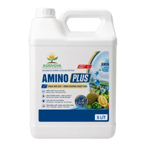AMINO PLUS 5L
