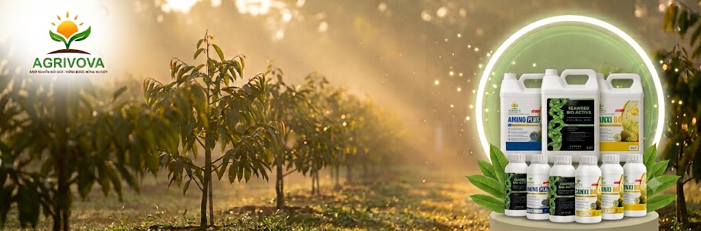 GIẢI PHÁP CHO VỤ MÙA BỘI THU