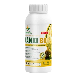 CANXI BO 1L