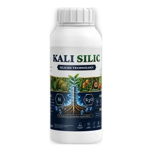Kali Silic 1L